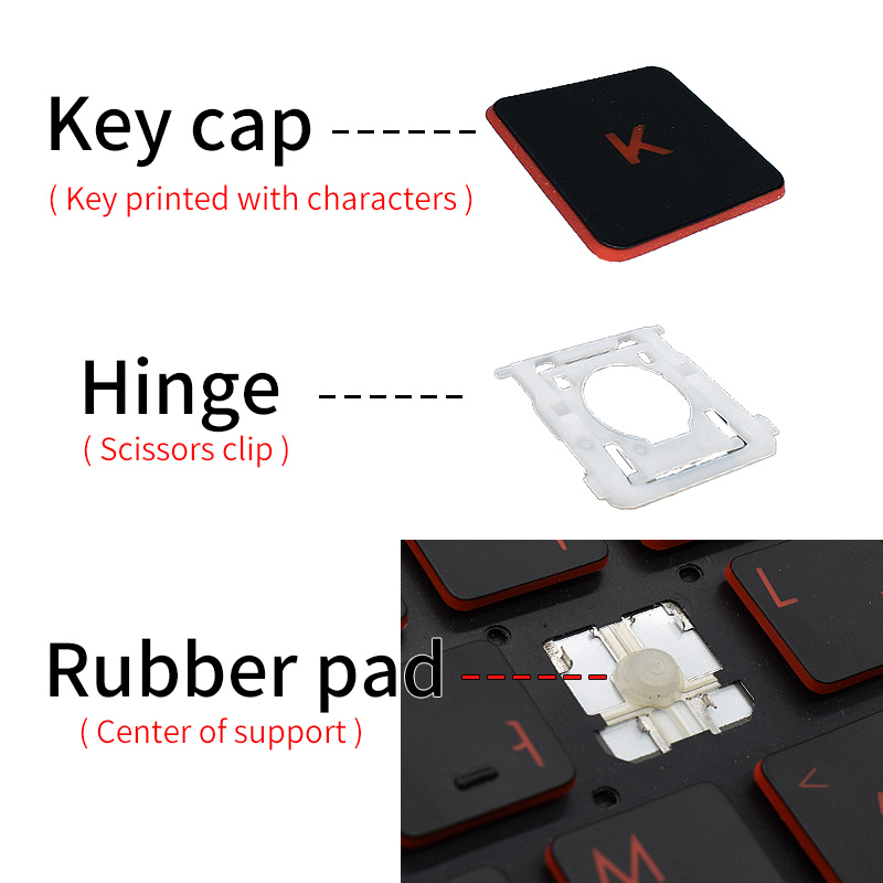 Chiave di ricambio retroillumi - Laptop Accessories Hp recensione e prezzo